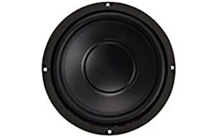 Subwoofer negro para altavoz, 6.5" / 250W