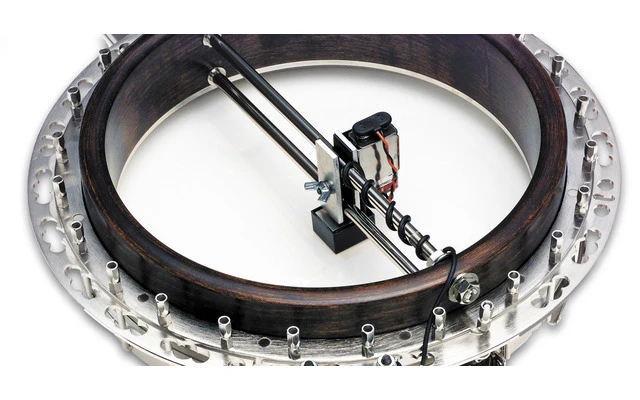 Fishman Rare Earth Banjo