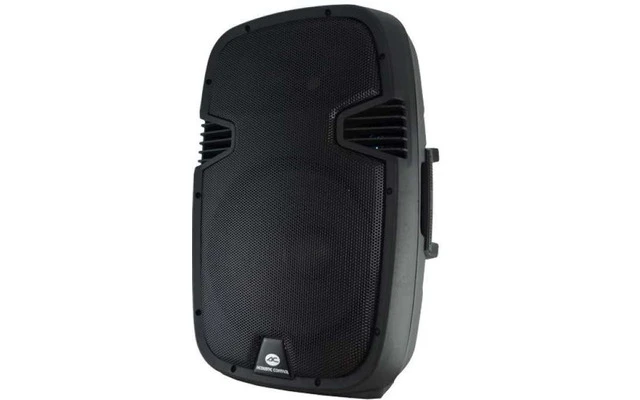 Acoustic Control AC 12 / AMP