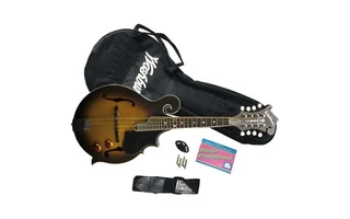Washburn M3 EK