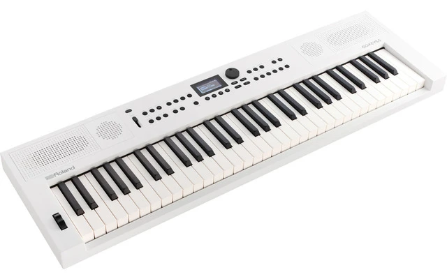 Roland Go:Keys 5