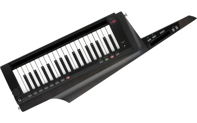 Korg RK-100S 2