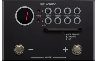 Roland TM-1