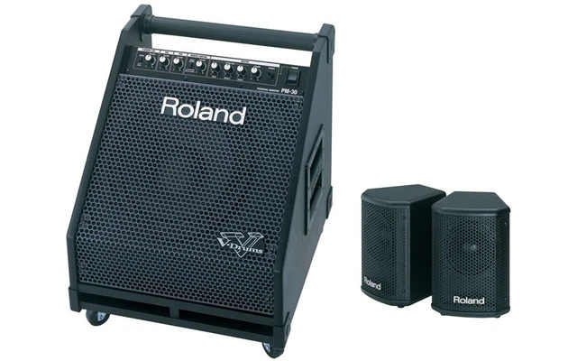 Roland PM-30