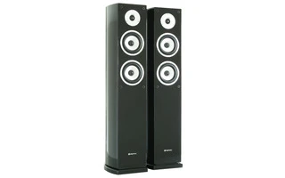 SHFT50B Conjunto Torre 2 x5" negro piano
