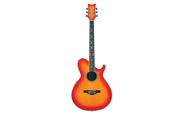 Daisy Rock 14-6276 Wildwood Artist Deluxe Sunset Burst