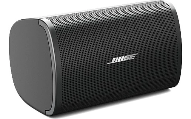 Bose DesignMax DM2S