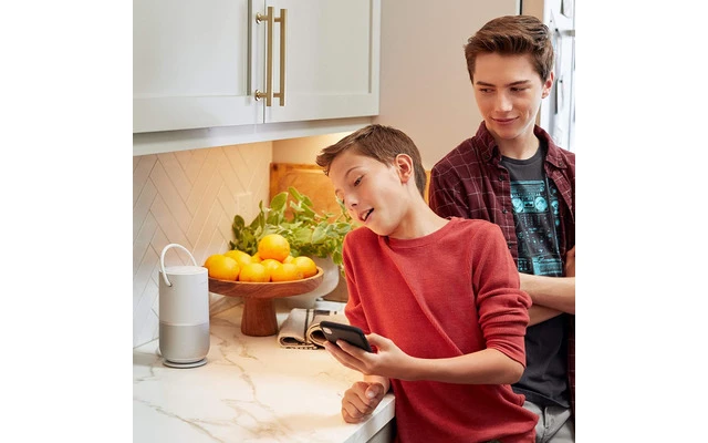 Bose Portable Charging cradle - Blanco