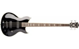 Washburn WB-66 Serie Idol