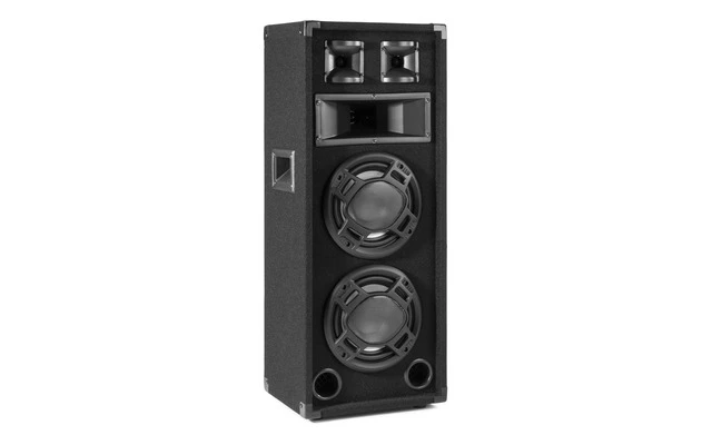 Fenton BS208 Black PA Speaker 2x8