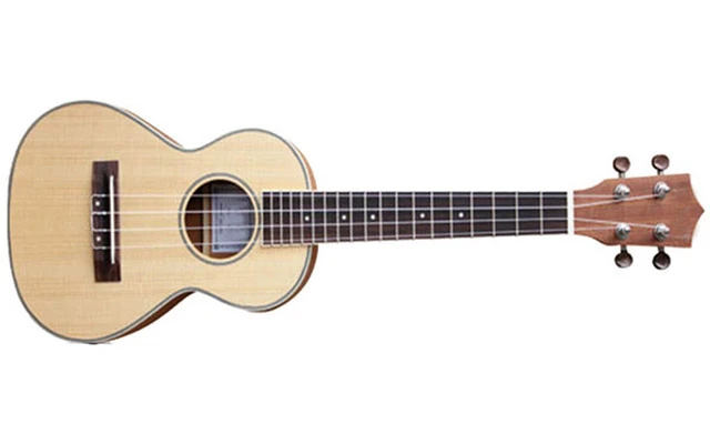 Rochester TENOR UK28TE Electrificado