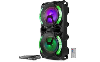 Fenton Live280 Karaoke Station 2 x 8”
