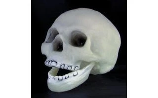 calavera florescente
