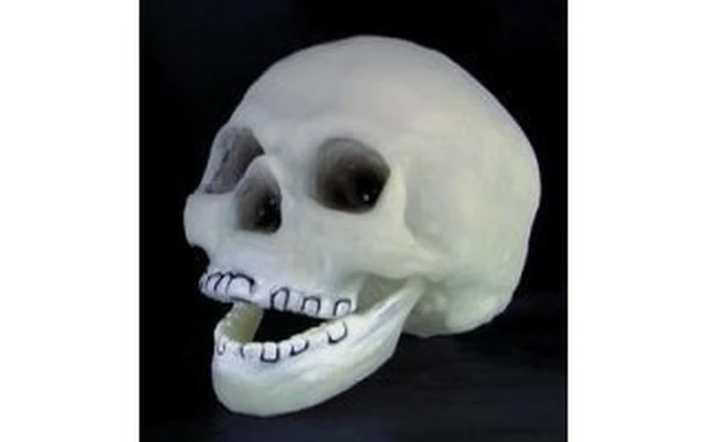 calavera florescente