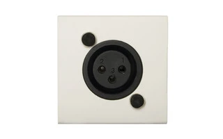 Audac CP 43 XLFW Placa de conexión con XLR hembra blanca