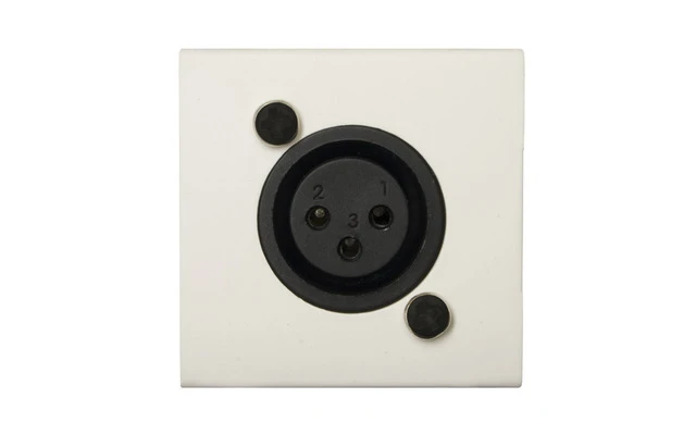 Audac CP 43 XLFW Placa de conexión con XLR hembra blanca