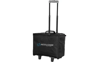 Accu Case ASC-ACR22