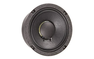 Eminence Beta 6 A - Altavoz de 6,5" 175 W 8 Ohmios