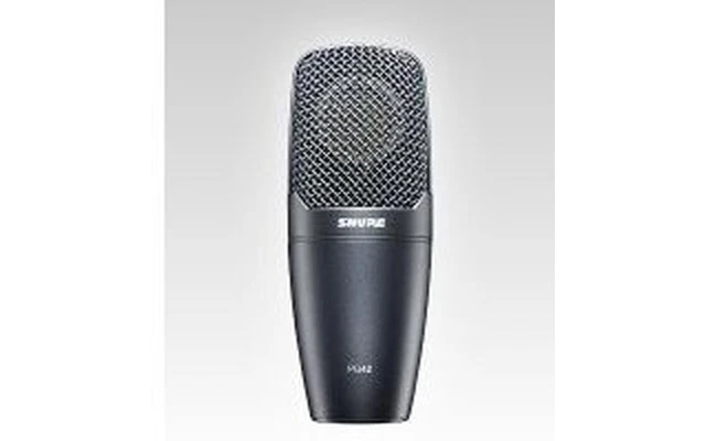 Shure PG42
