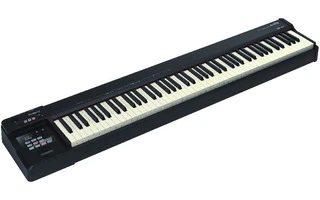 Roland A-88