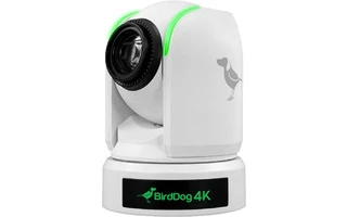 BirdDog P4K White