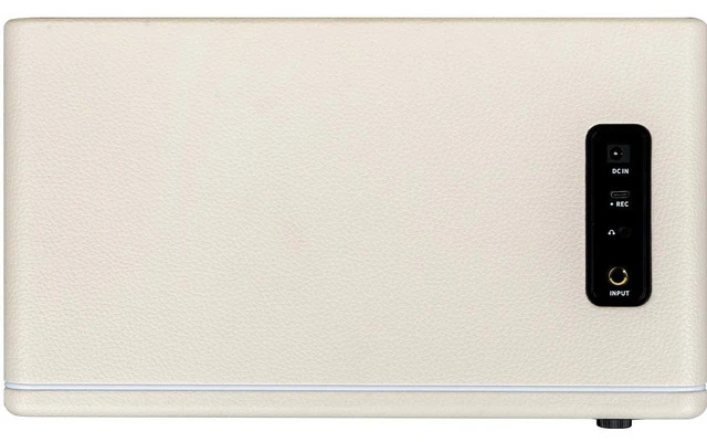 MOOER HORNET 30I WHITE