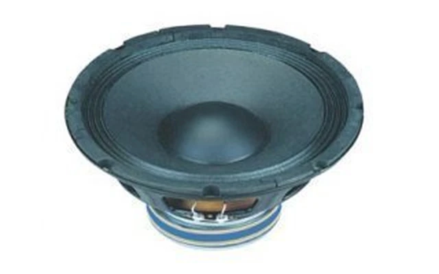 Altavoz profesional 12