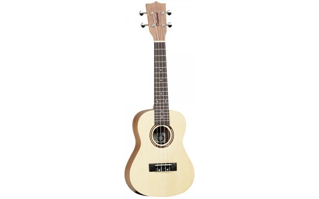 Tanglewood TWT9