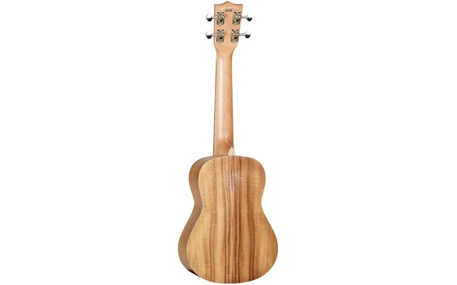 Tanglewood TWT9