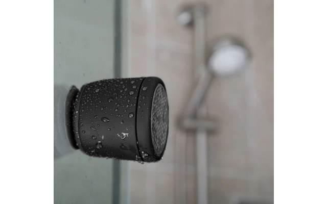 Polk Audio Boom Swimmer DUO