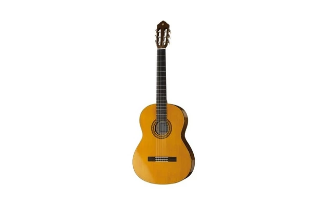 Yamaha CA 40