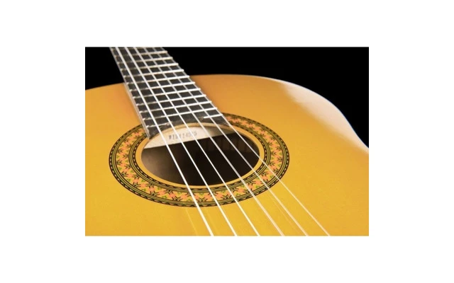 Yamaha CA 40