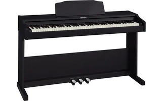 Roland RP102