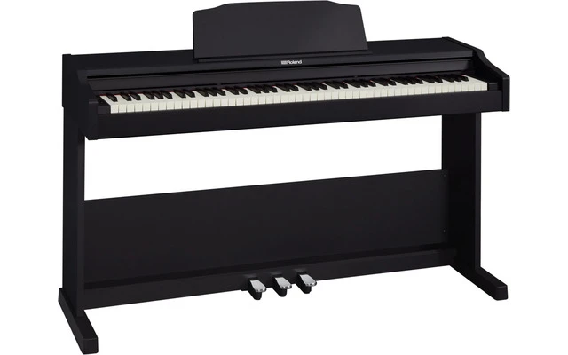 Roland RP102