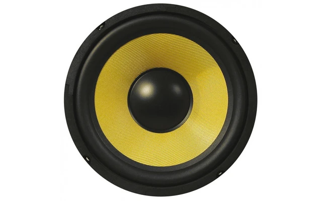 Woofer de 13cm con cono Kevlar 100Wrms