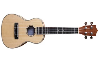Rochester UKELELE CONCIERTO UK38C
