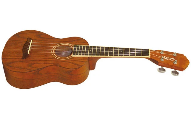 Washburn UK-20