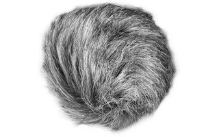 Zoom WSU-1