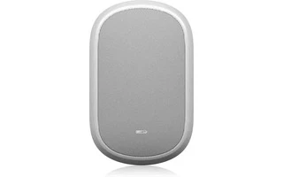 Tannoy Dvs 401-WH