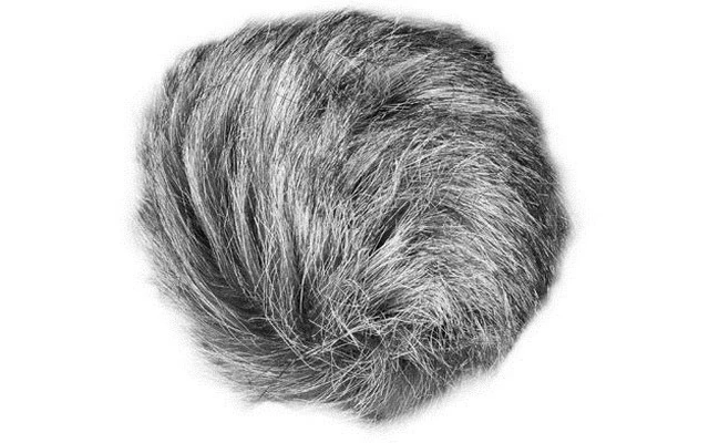 Zoom WSU-1