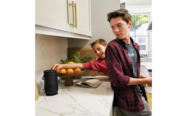 Bose Portable Charging cradle