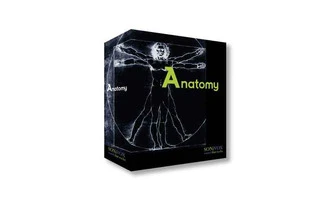 SoniVox Anatomy