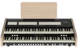 Organo musical