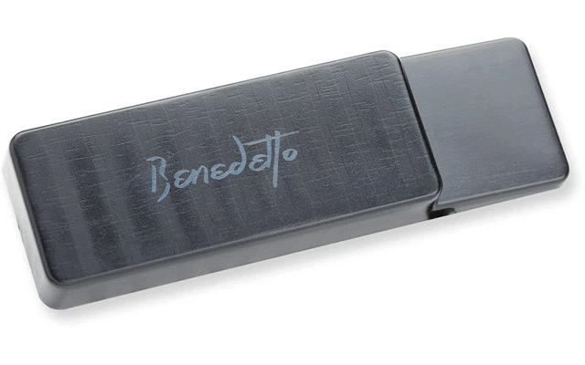 Seymour Duncan Benedetto S-6