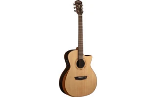 Washburn WCG20SCE
