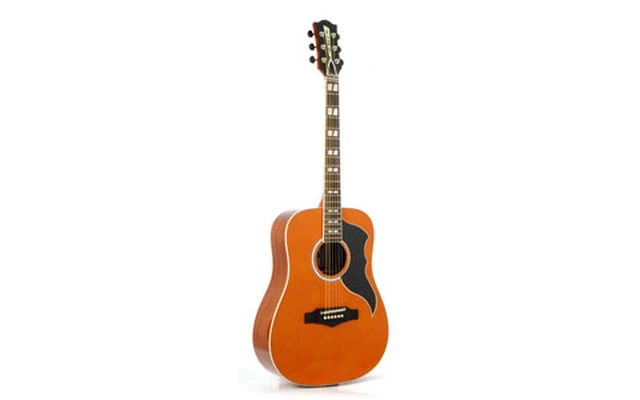 EKO Guitars Ranger VI VR Nat