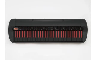 Korg SV-1-73 Black Reverse