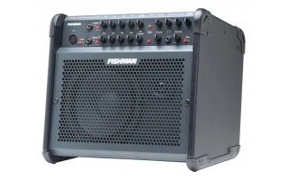 Fishman Loudbox 100