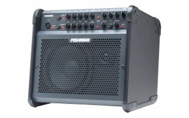Fishman Loudbox 100