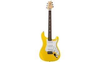 PRS Guitars SE Silver Sky Dandy Lion